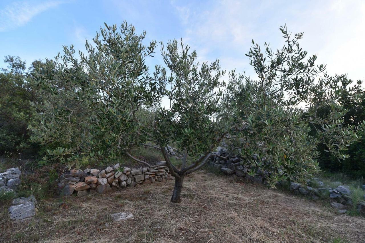Apartmani Marko Gdinj Dış mekan fotoğraf